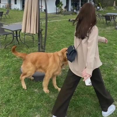 罕见的情人